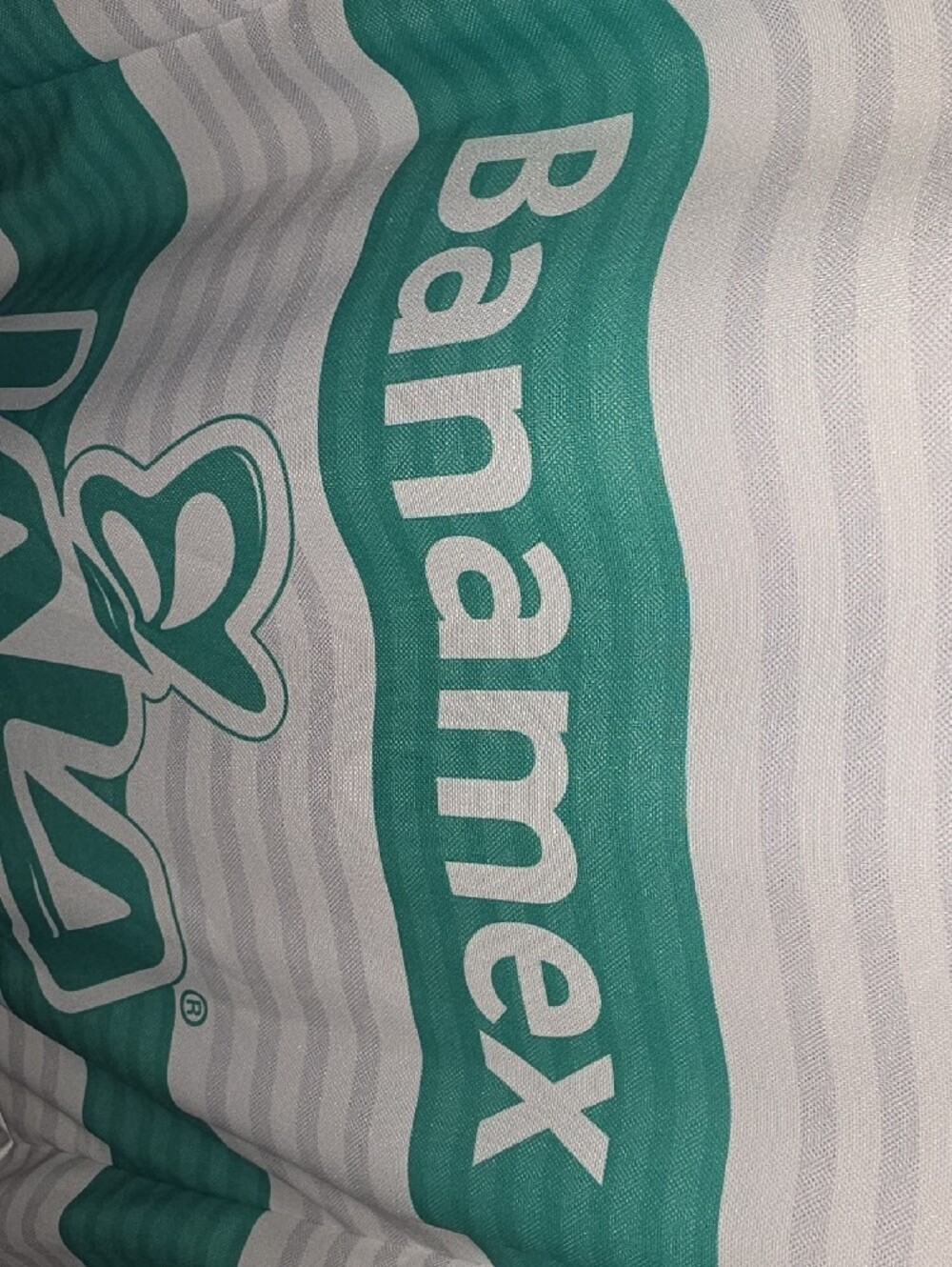 Puma Santos Laguna Home Shirt - Teal and White - Picture 15 of 16